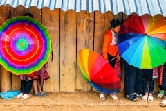 A_story_of_umbrellas