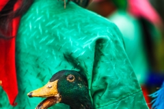 Heading_to_a_market_with_a_duck