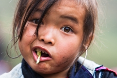 Sugarcane_nibbling