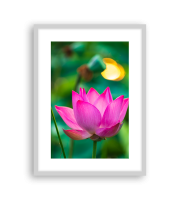 Lotus170189