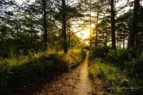 Dalat-Vietnam19-0013